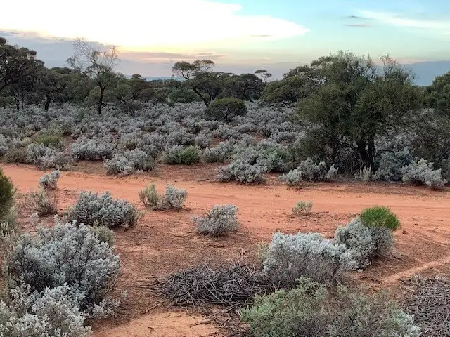 Seventh view of Homely land listing, 16 Kimberley Road, Whyalla SA 5600