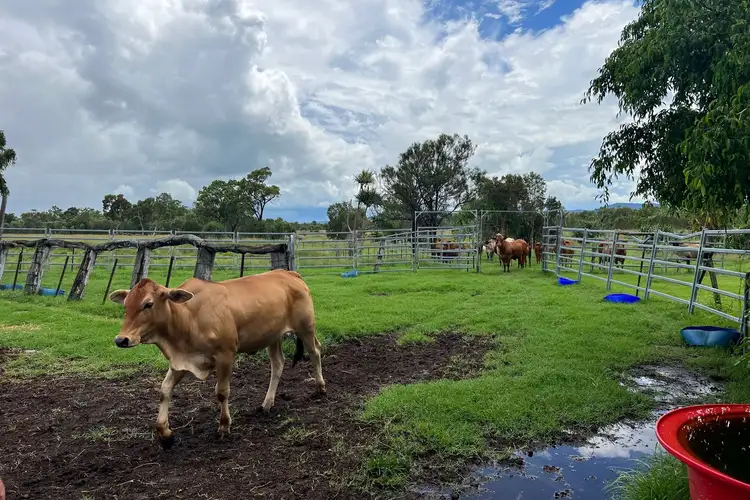 Seventh view of Homely land listing, 14859 Bruce Highway, Gregory River QLD 4800