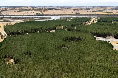 Main view of Homely rural property listing, Address available on request