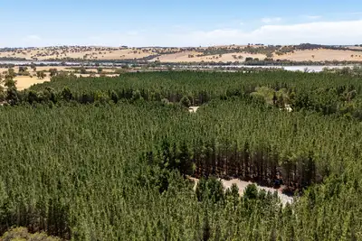 Second view of Homely rural property listing, Address available on request