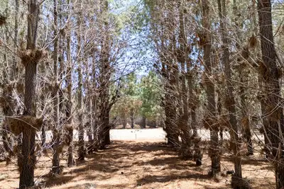 Third view of Homely rural property listing, Address available on request