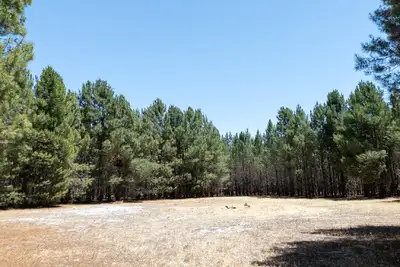 Fourth view of Homely rural property listing, Address available on request