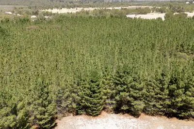 Fifth view of Homely rural property listing, Address available on request