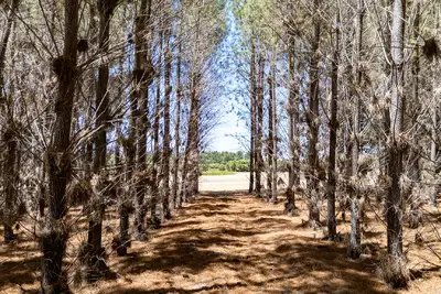 Sixth view of Homely rural property listing, Address available on request