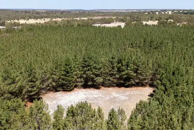 Seventh view of Homely rural property listing, Address available on request