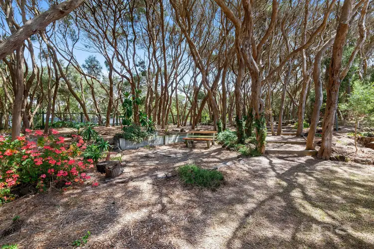 38 Parson Street, Rye VIC 3941