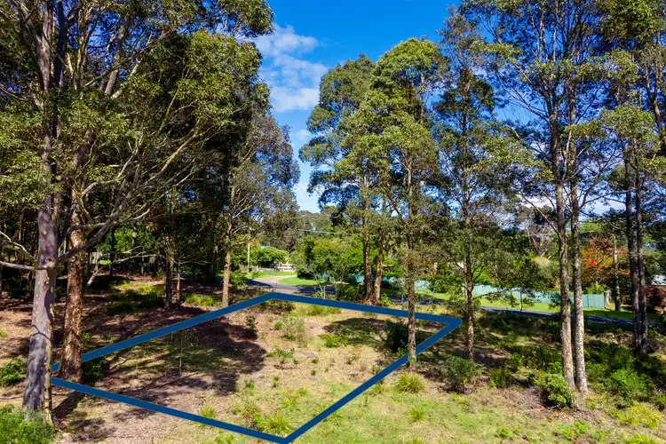 LOT 303 Nutleys Creek Road, Bermagui NSW 2546