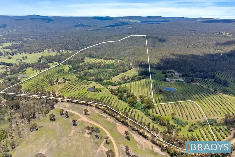 Main view of Homely land listing, LOT 1, 569 Marked Tree Road, Gundaroo NSW 2620