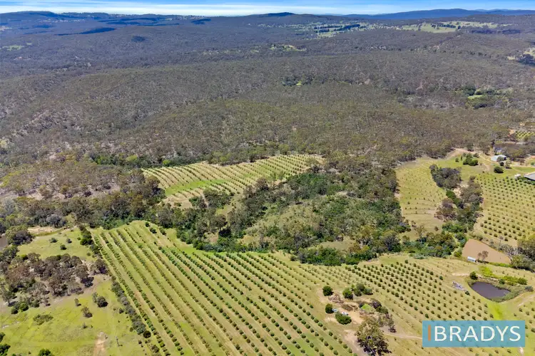 Second view of Homely land listing, LOT 1, 569 Marked Tree Road, Gundaroo NSW 2620
