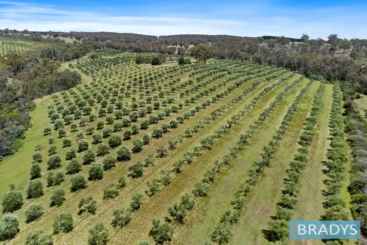 Third view of Homely land listing, LOT 1, 569 Marked Tree Road, Gundaroo NSW 2620