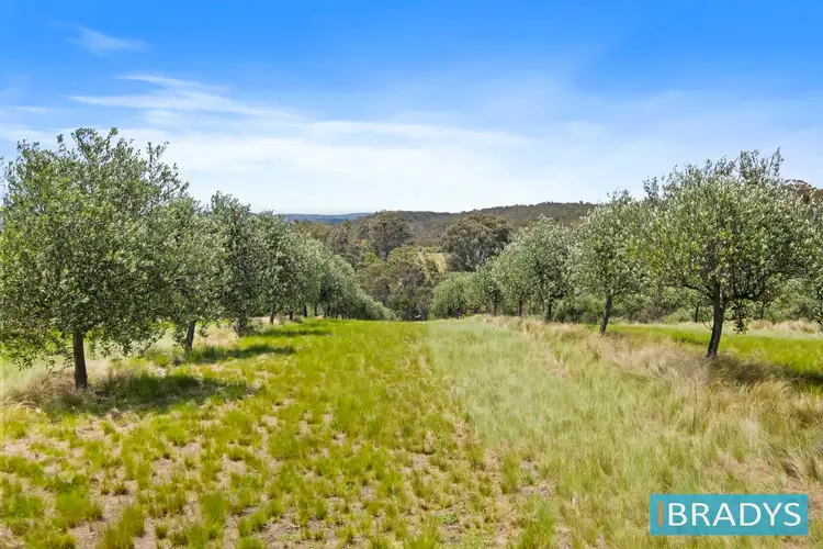 Fourth view of Homely land listing, LOT 1, 569 Marked Tree Road, Gundaroo NSW 2620