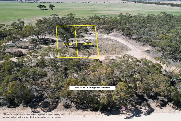 Main view of Homely land listing, Various Al Various Street, Pinnaroo SA 5304