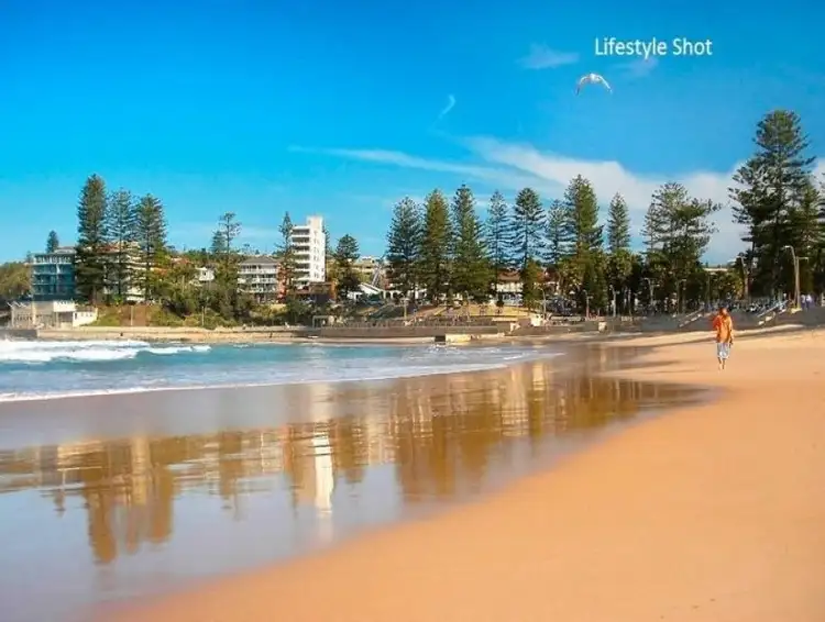Sixth view of Homely unit listing, 8/44 Howard Avenue, Dee Why NSW 2099