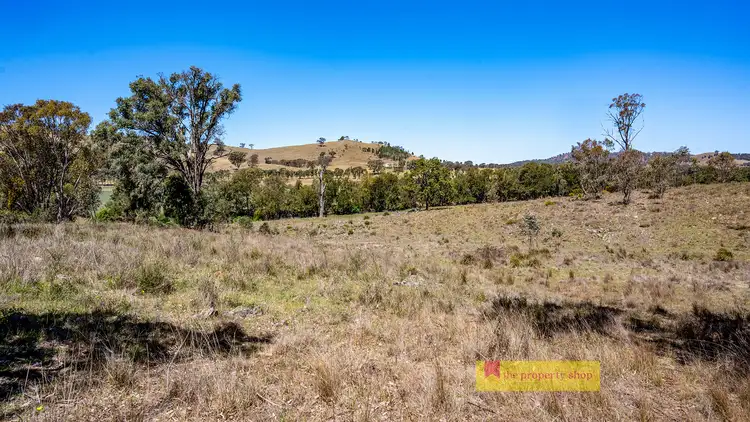 Seventh view of Homely rural property listing, LOT 2, 738 Kaludabah Road, Mudgee NSW 2850