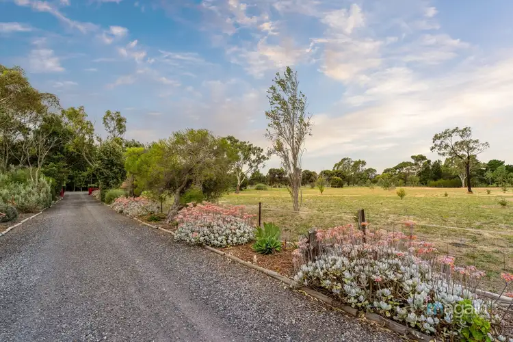 Fifth view of Homely rural property listing, 131 Malpas Road, Willunga SA 5172