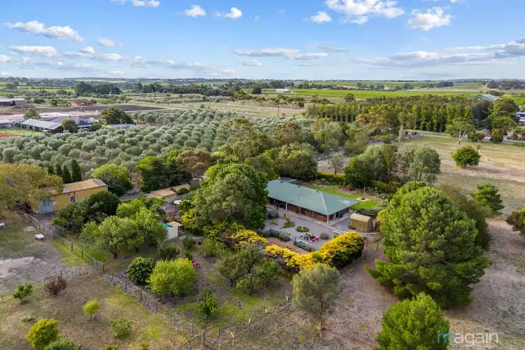 Sixth view of Homely rural property listing, 131 Malpas Road, Willunga SA 5172