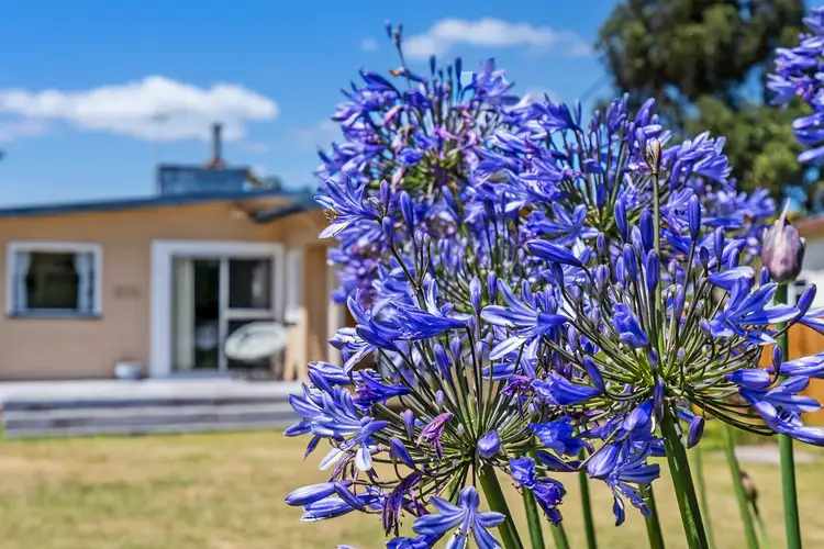 Third view of Homely house listing, 7 Second Avenue, Dodges Ferry TAS 7173