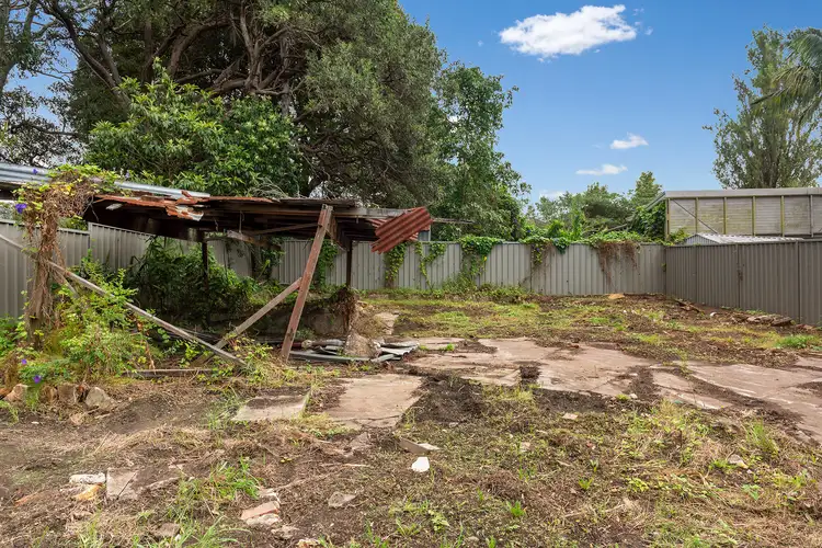 Fifth view of Homely house listing, 19 Canonbury Grove, Bexley North NSW 2207