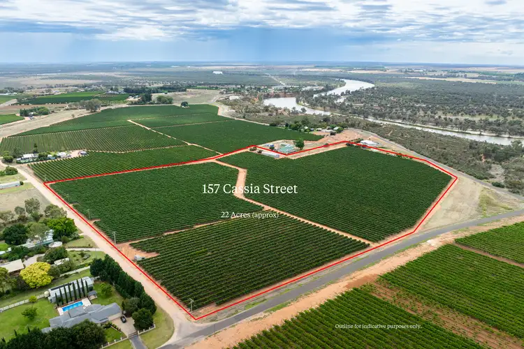 Main view of Homely rural property listing, 157 Cassia Street, Red Cliffs VIC 3496