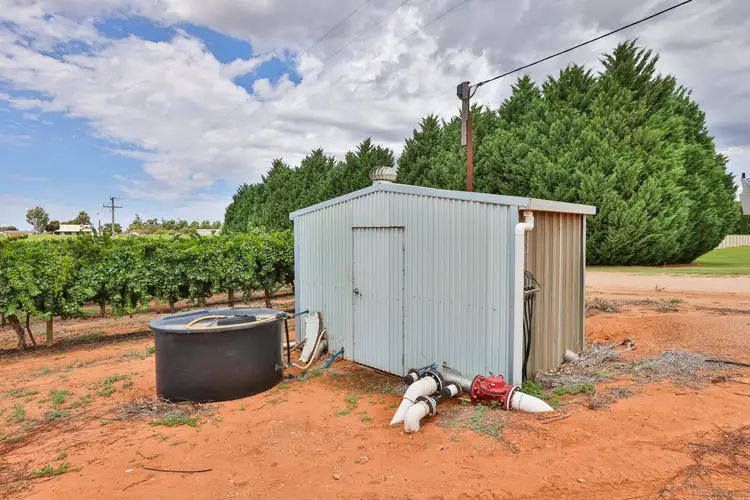 Fourth view of Homely rural property listing, 157 Cassia Street, Red Cliffs VIC 3496