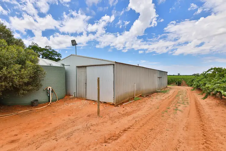Seventh view of Homely rural property listing, 157 Cassia Street, Red Cliffs VIC 3496