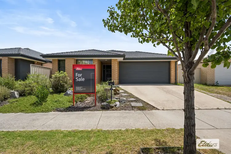 Main view of Homely house listing, 32 Sadlier Street, Wodonga VIC 3690