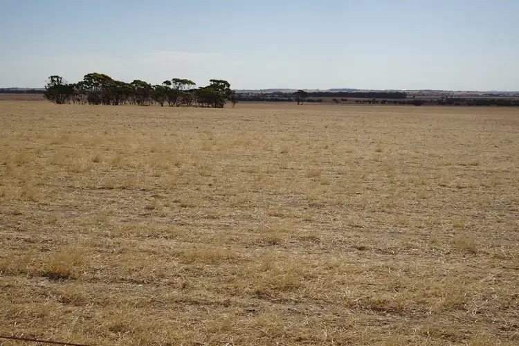 Fifth view of Homely rural property listing, Treloars Road, North Kukerin WA 6352