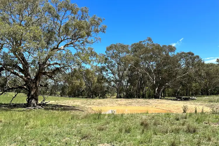 Third view of Homely rural property listing, 516 Gibsons Lane, Mudgee NSW 2850