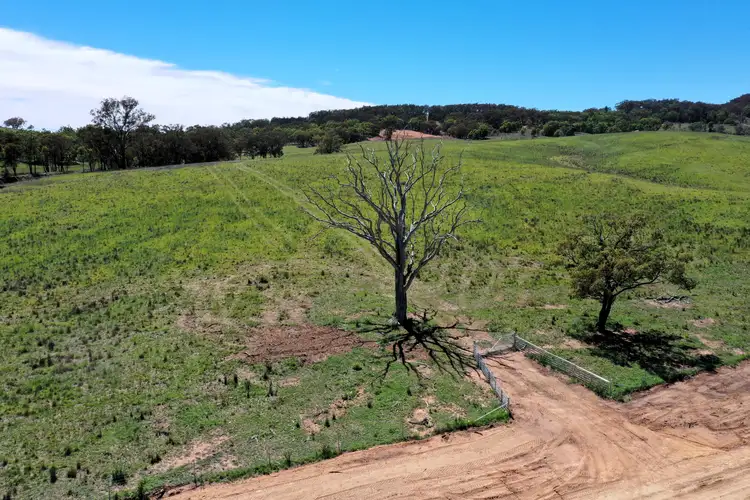Sixth view of Homely rural property listing, 516 Gibsons Lane, Mudgee NSW 2850
