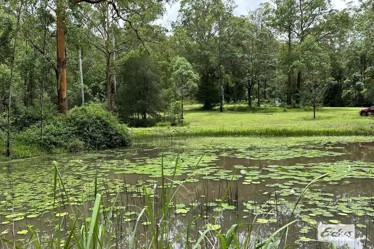 Second view of Homely rural property listing, 590 Stony Creek Road, Stony Creek QLD 4514