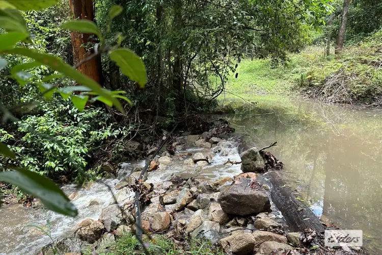 Fourth view of Homely rural property listing, 590 Stony Creek Road, Stony Creek QLD 4514