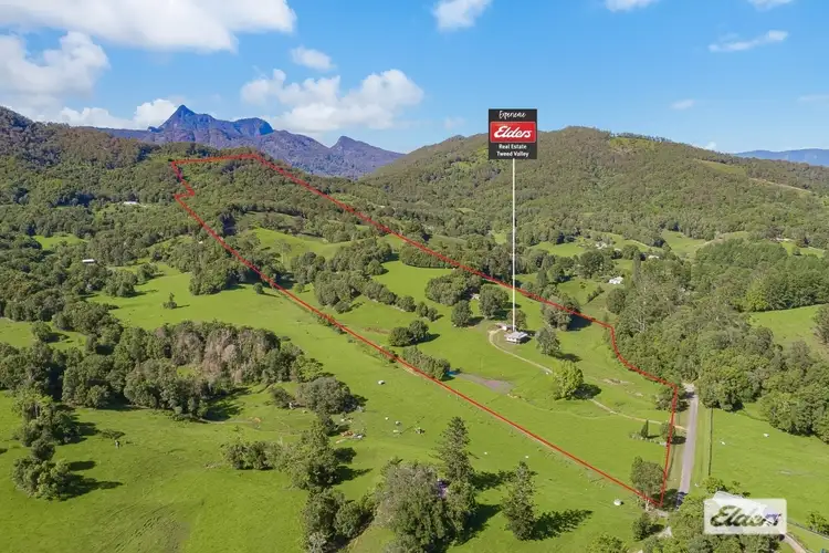 Main view of Homely rural property listing, 267 Chilcotts Road, Crystal Creek NSW 2484