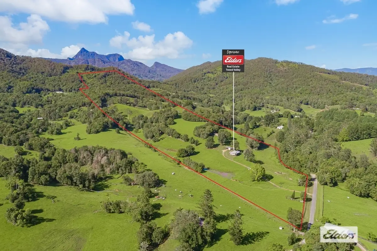 Main view of Homely rural property listing, 267 Chilcotts Road, Crystal Creek NSW 2484