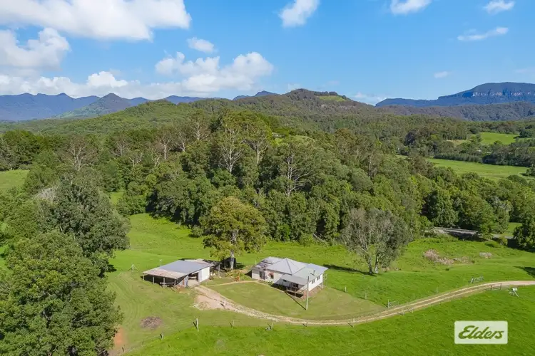 Second view of Homely rural property listing, 267 Chilcotts Road, Crystal Creek NSW 2484