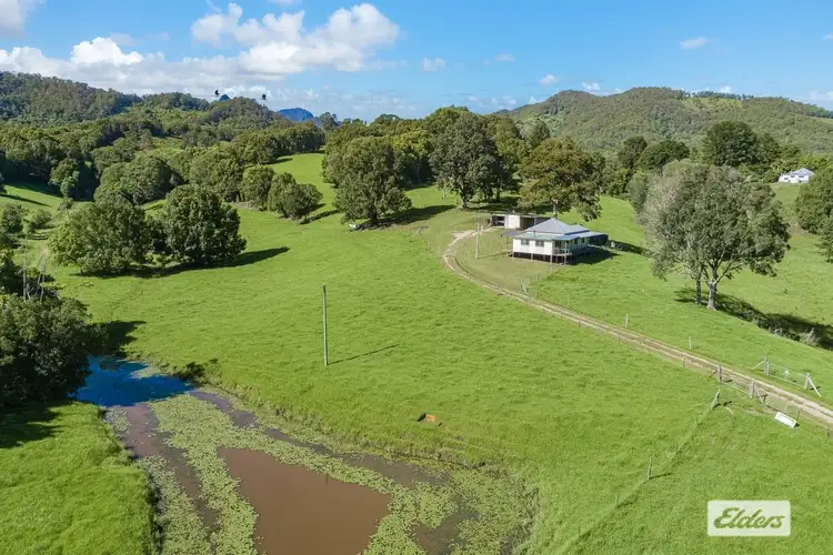 Fourth view of Homely rural property listing, 267 Chilcotts Road, Crystal Creek NSW 2484