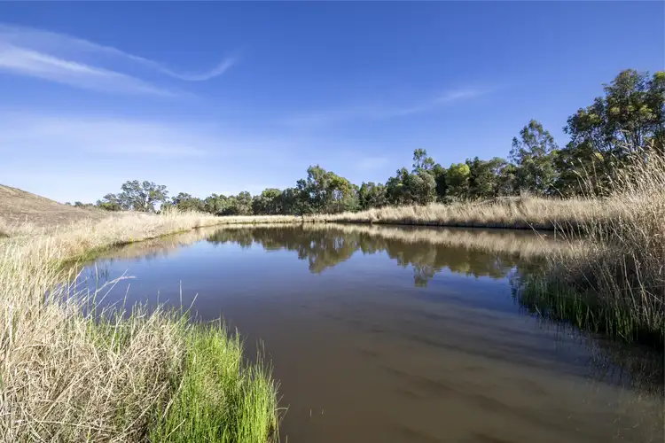 Fourth view of Homely rural property listing, 32 Mcdiarmids Road, Violet Town VIC 3669