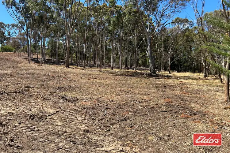Fifth view of Homely land listing, Lot 2 Gottwald Road, Williamstown SA 5351