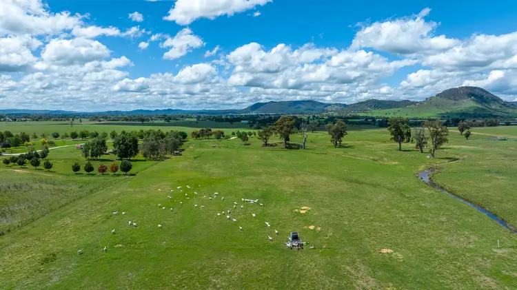 Seventh view of Homely rural property listing, Lot 1, 312 Castlereagh Highway, Mudgee NSW 2850