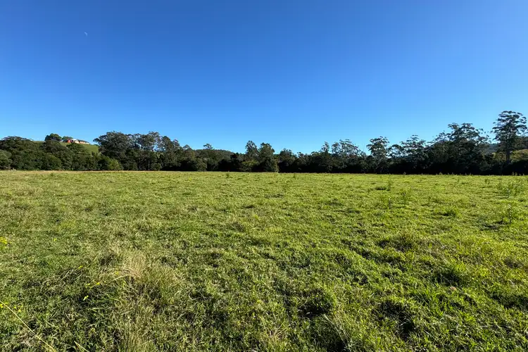 Sixth view of Homely rural property listing, 158 Hickeys Creek Road, Hickeys Creek NSW 2440