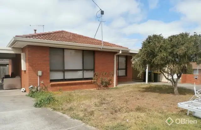 1/9 Hogan Grove