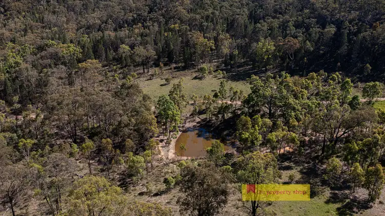 Sixth view of Homely rural property listing, 252 Port Macquarie Road, Rylstone NSW 2849