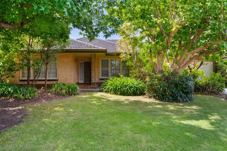 10 Alfrina Street, Kidman Park SA 5025