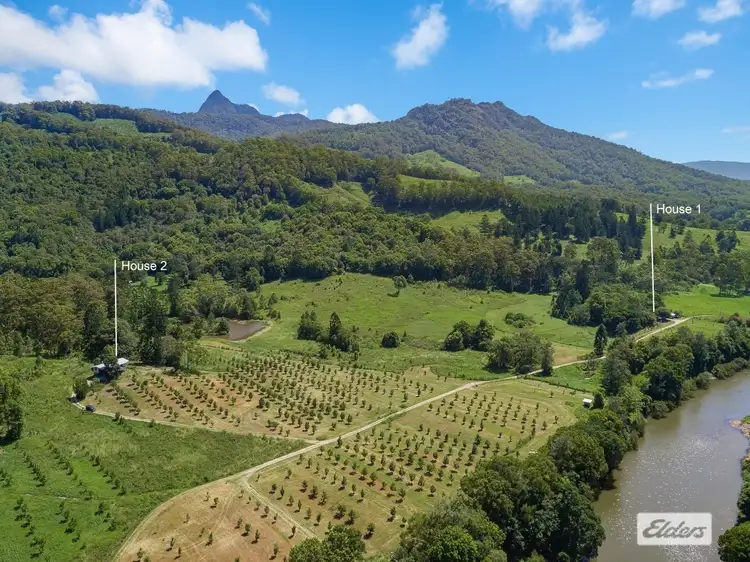 Main view of Homely rural property listing, 677 Tyalgum Road, Eungella NSW 2484