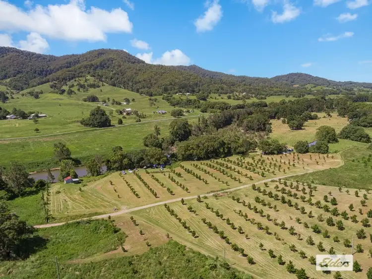 Fourth view of Homely rural property listing, 677 Tyalgum Road, Eungella NSW 2484