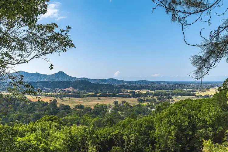 LOT 1 Wilsons Creek Road, Wilsons Creek NSW 2482