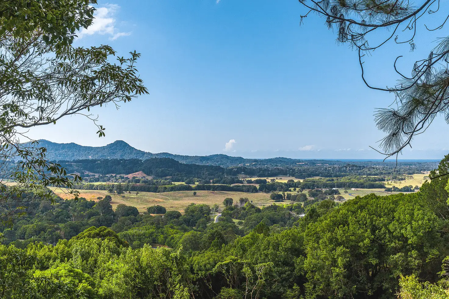 Main view of Homely land listing, LOT 1 Wilsons Creek Road, Wilsons Creek NSW 2482