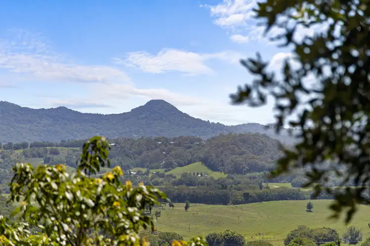 Second view of Homely land listing, LOT 1 Wilsons Creek Road, Wilsons Creek NSW 2482