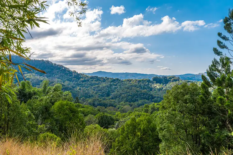 Fourth view of Homely land listing, LOT 1 Wilsons Creek Road, Wilsons Creek NSW 2482