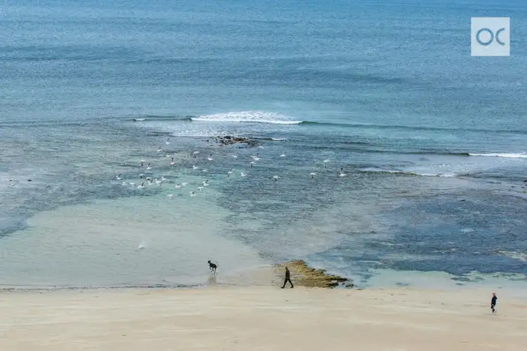 Sixth view of Homely land listing, 21 Bollard Avenue, Seaford Meadows SA 5169