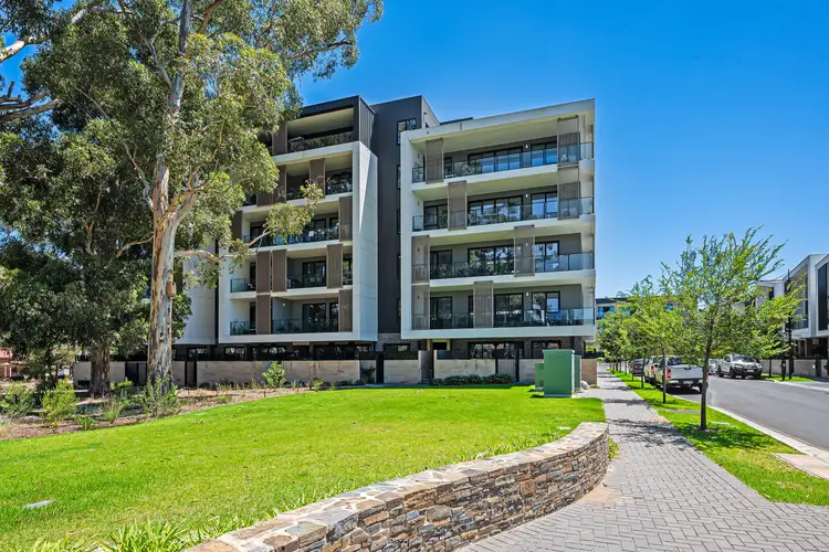 205/3 Banksia Street, Glenside SA 5065